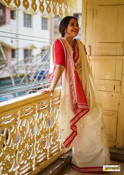 Soft Linen Cotton Silk Saree with Full-Body Weaving & Jaquard Border – Colour 1