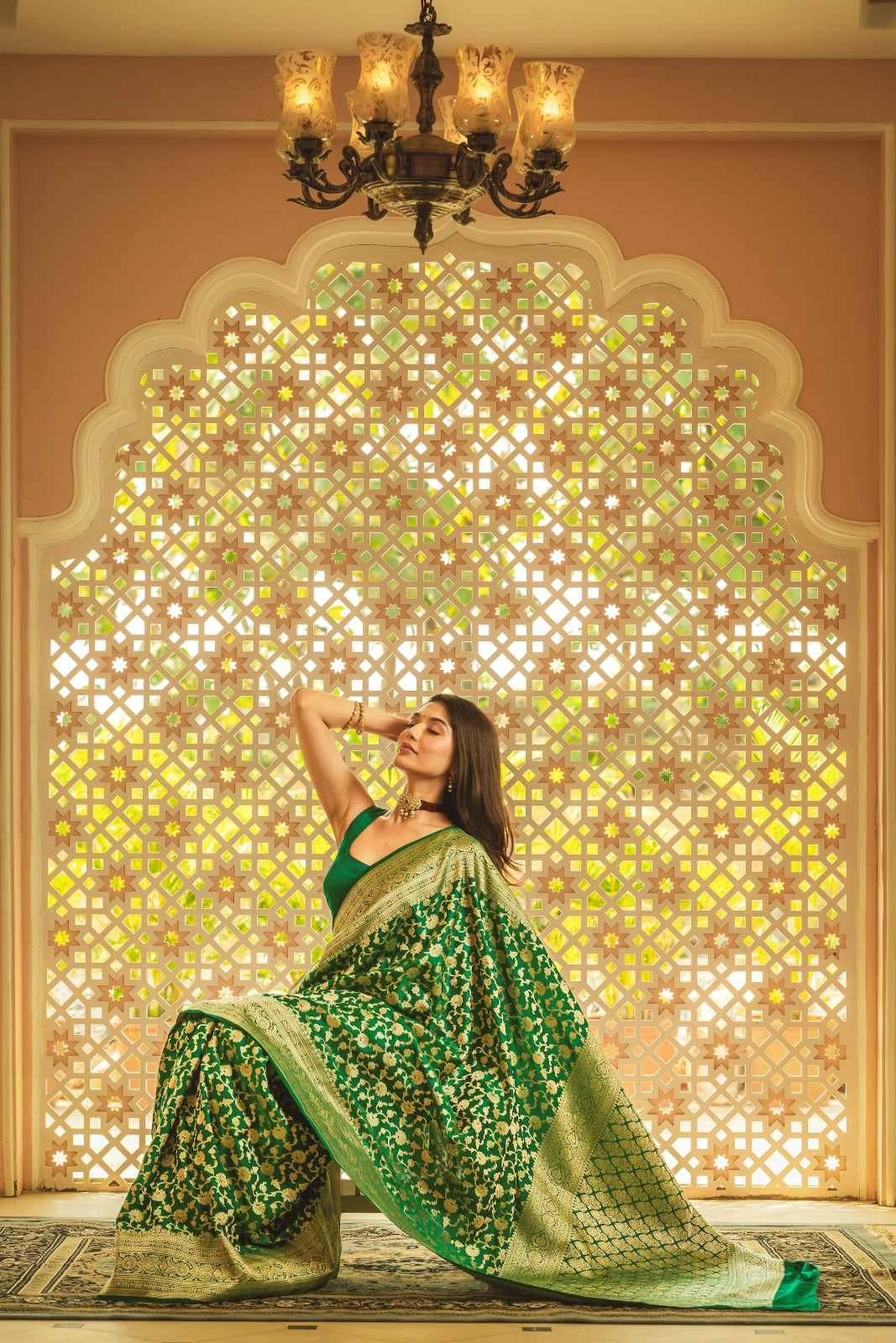 Banarasi soft silk saree with gold zari