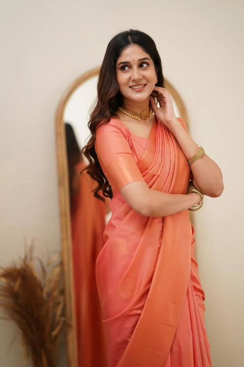 Banarasi Soft Silk Saree Shade 4 with Copper Zari Weaving and Intricate Pallu