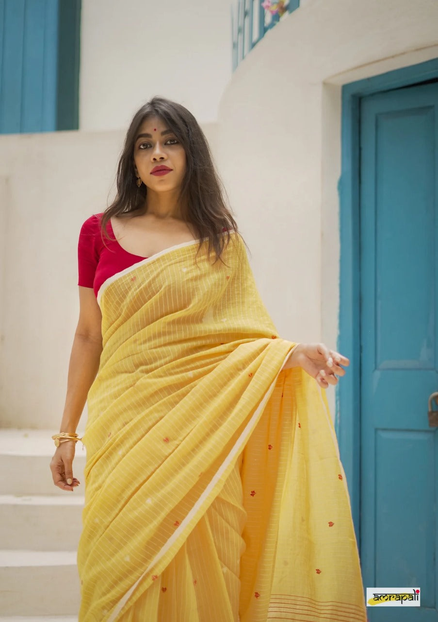 Soft Linen Cotton Silk Saree Shade 1 with Full Body Weaving and Jaquard Border – DCPL Collection