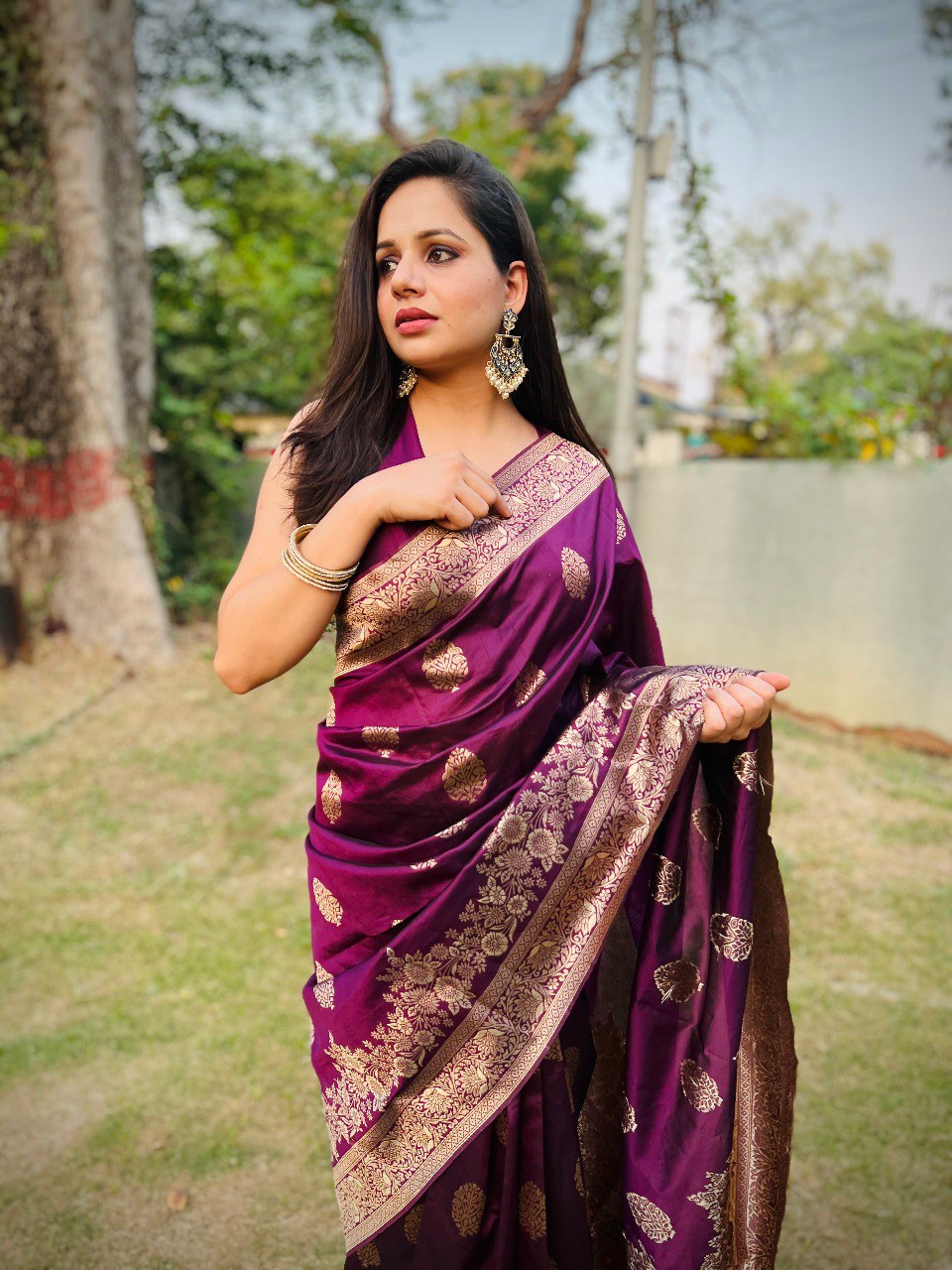Azure Dream Banarasi Soft Silk Saree Sky Blue