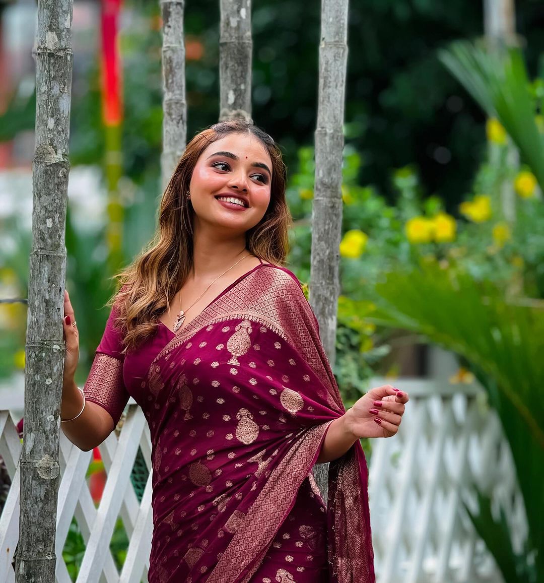 Ethereal Charm Banarasi Soft Silk Saree