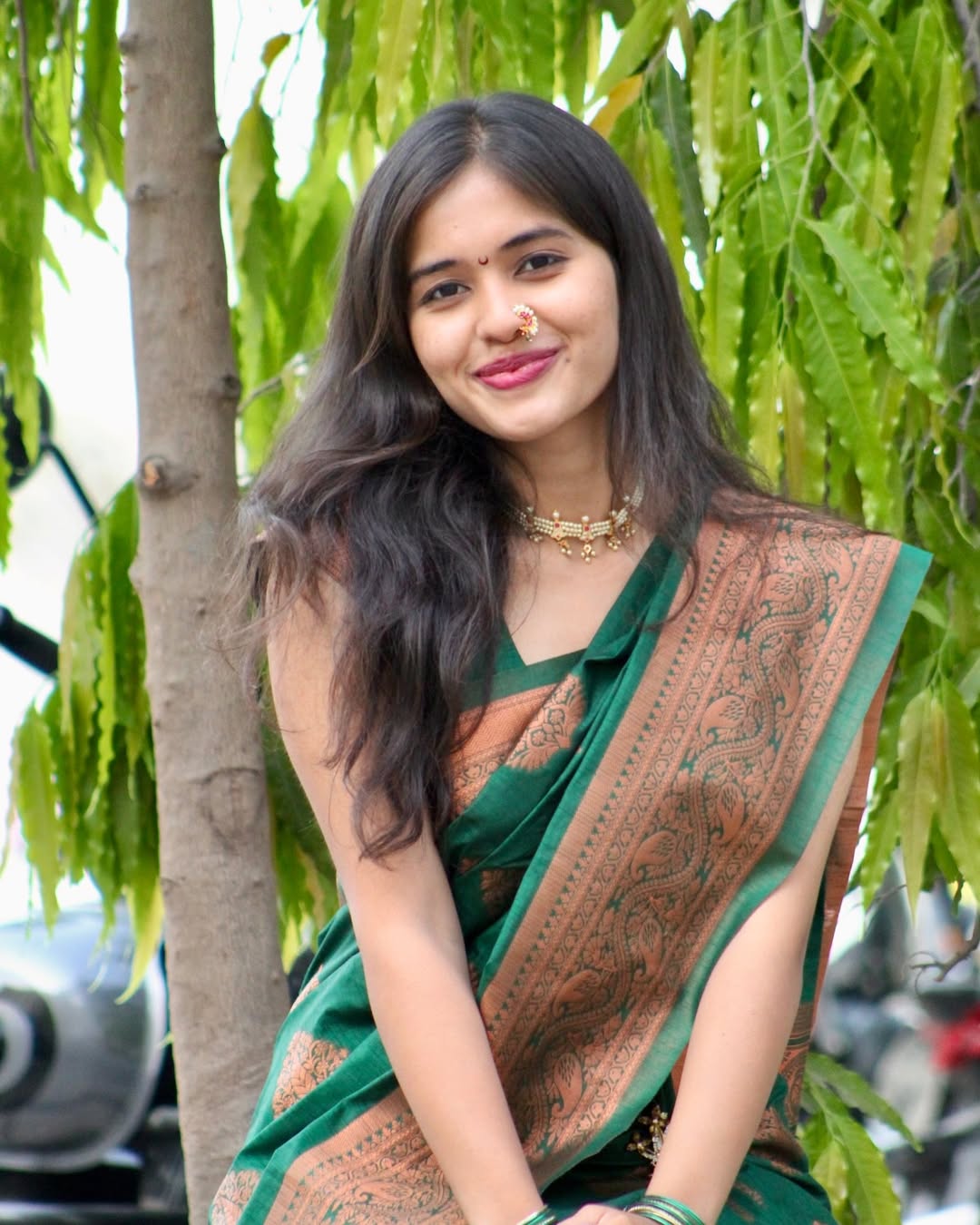 Elegant Banarasi soft silk saree – Colour 1