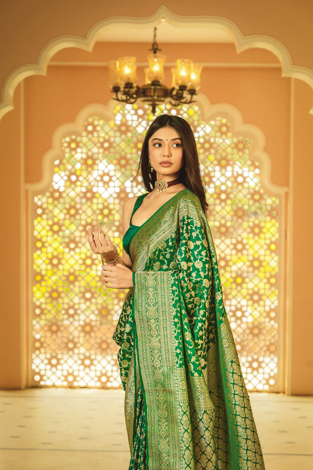 Timeless Tradition: Banarasi Saree in Soft Silk & Rich Gold Brocade (Colour 1)