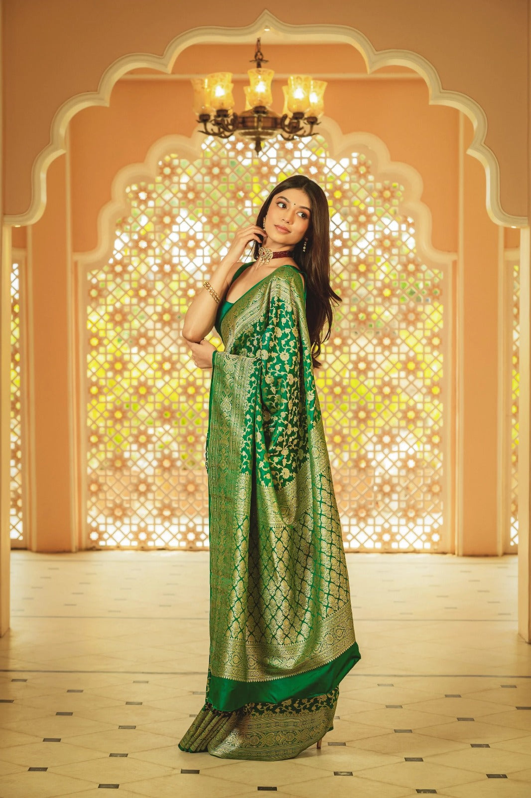 Timeless Tradition: Banarasi Saree in Soft Silk & Rich Gold Brocade (Colour 1)