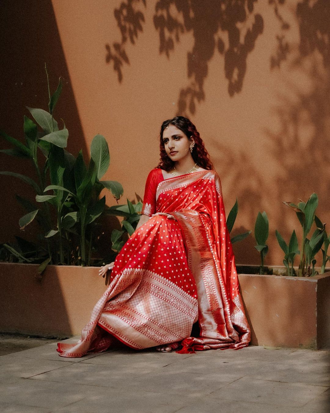Banarasi Soft Silk Sare