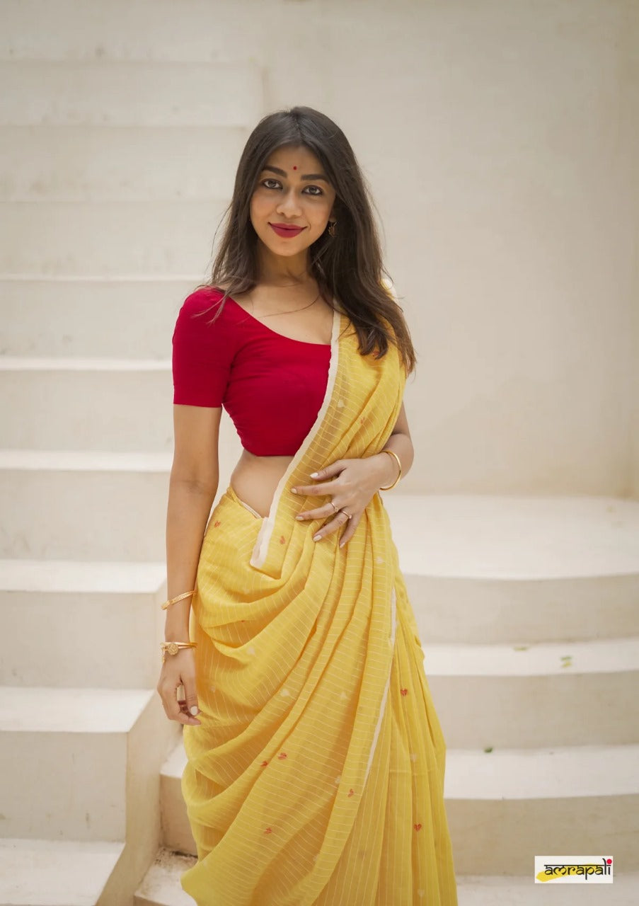 Soft Linen Cotton Silk Saree – Trendy & Grand Celebration Collection