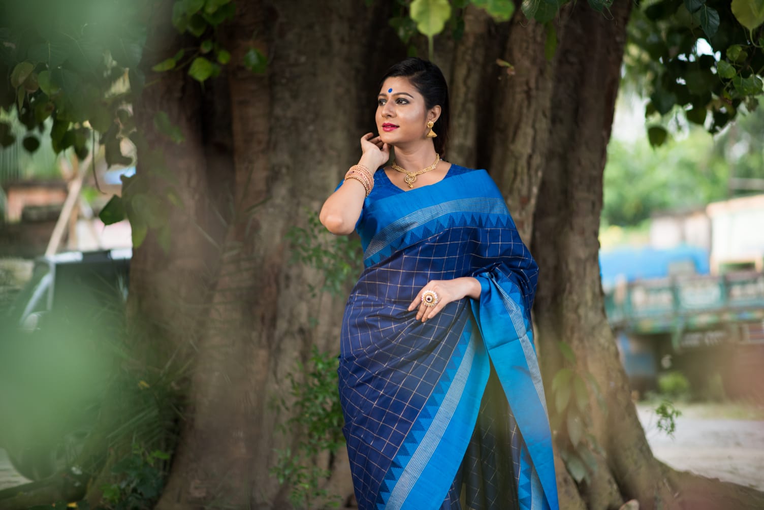 Celestial Banarasi Soft Silk saree collection with a fluid drape and fine zari weaving; available in seven majestic colors, offering a spectrum of luxurious hues for grand occasions.