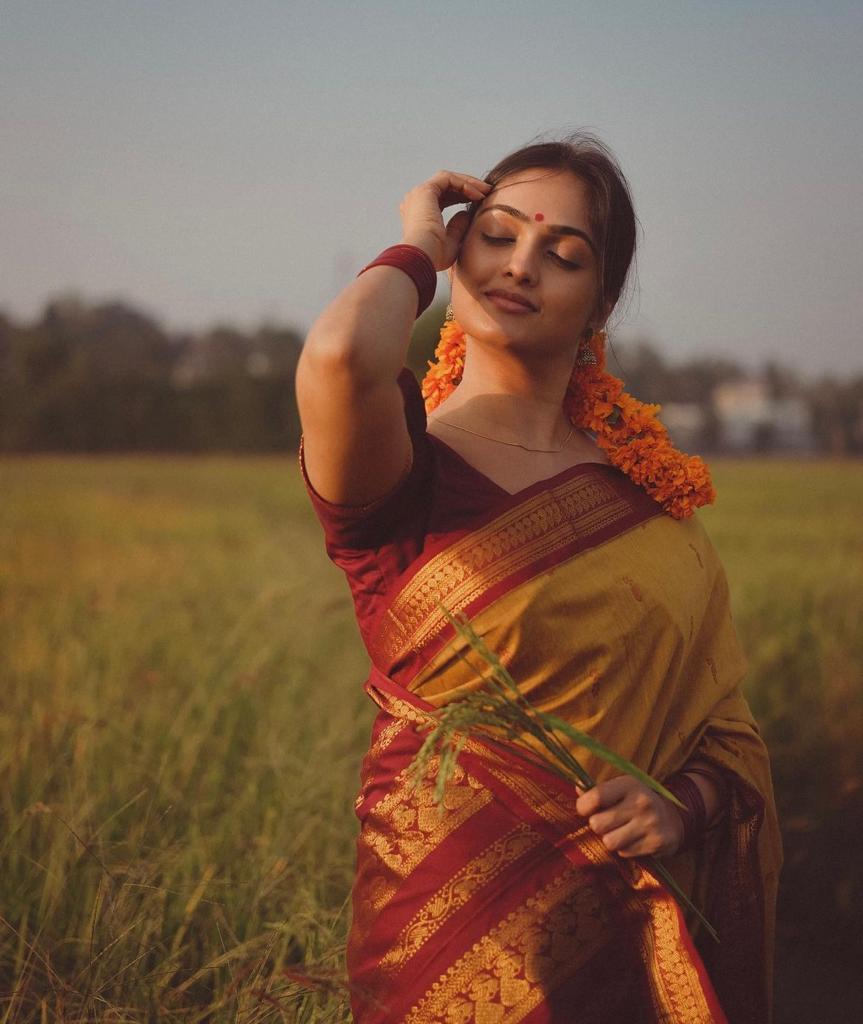 Banarasi Silk Saree collection featuring intricate zari weaving and a heavy traditional border; available in a complete range of six luxurious colors, 