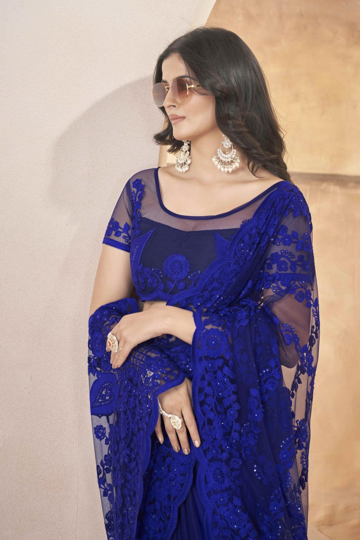heavy butterfly net saree with tone to tone aari embroidery stone work and rich pallu with embroidered blouse