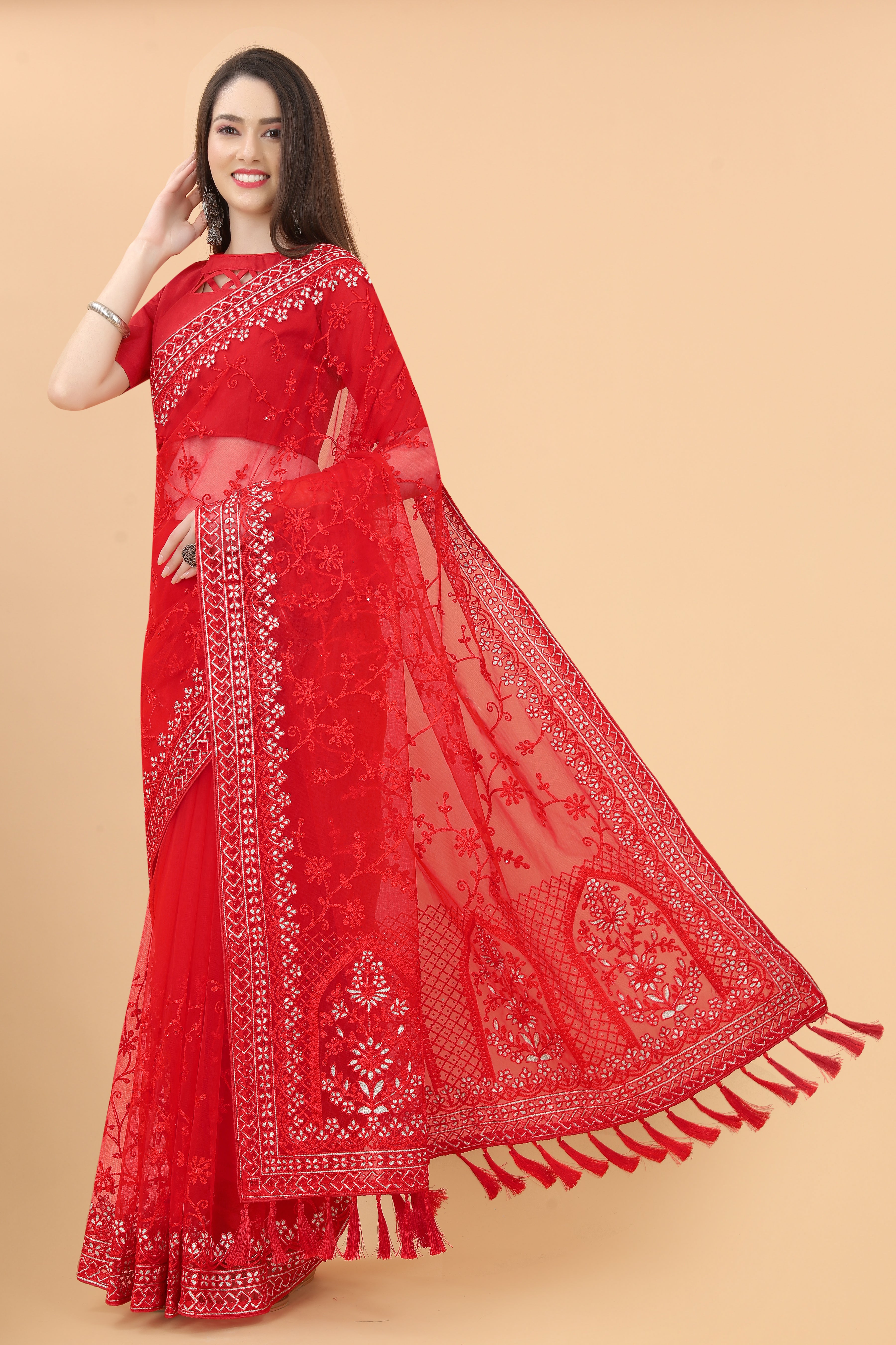 heavy butterfly net saree with aari embroidery and diamond work