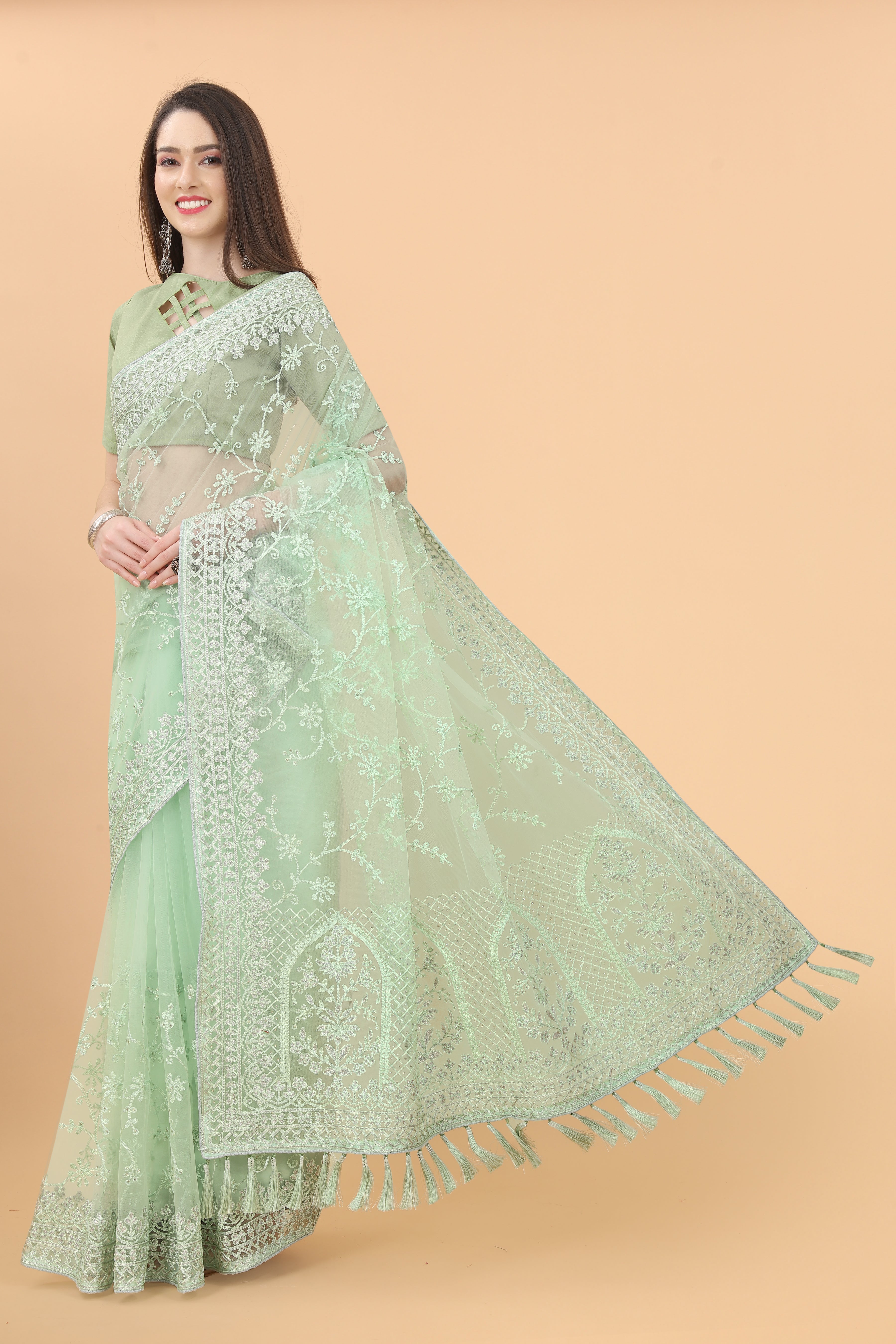 heavy butterfly net saree with aari embroidery and diamond work
