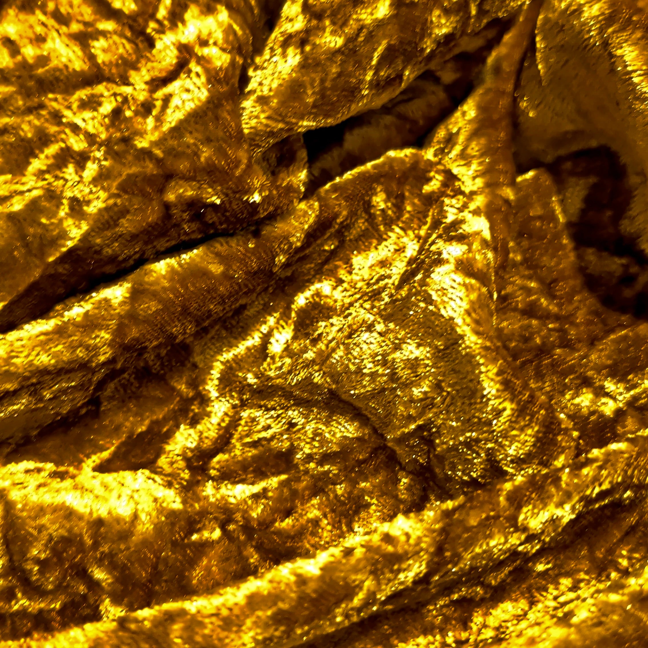Close-up of gold leaf with a textured surface