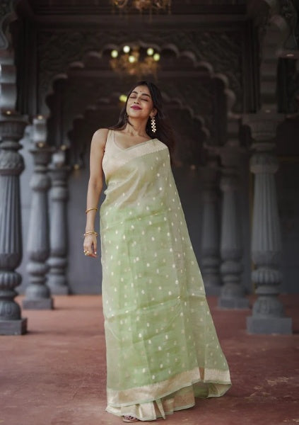 Radiant Grace Banarasi Soft Silk Saree with Gold Zari – Colour 9