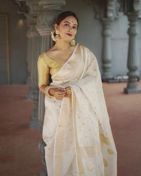 Radiant Grace Banarasi Soft Silk Saree with Gold Zari – Colour 9
