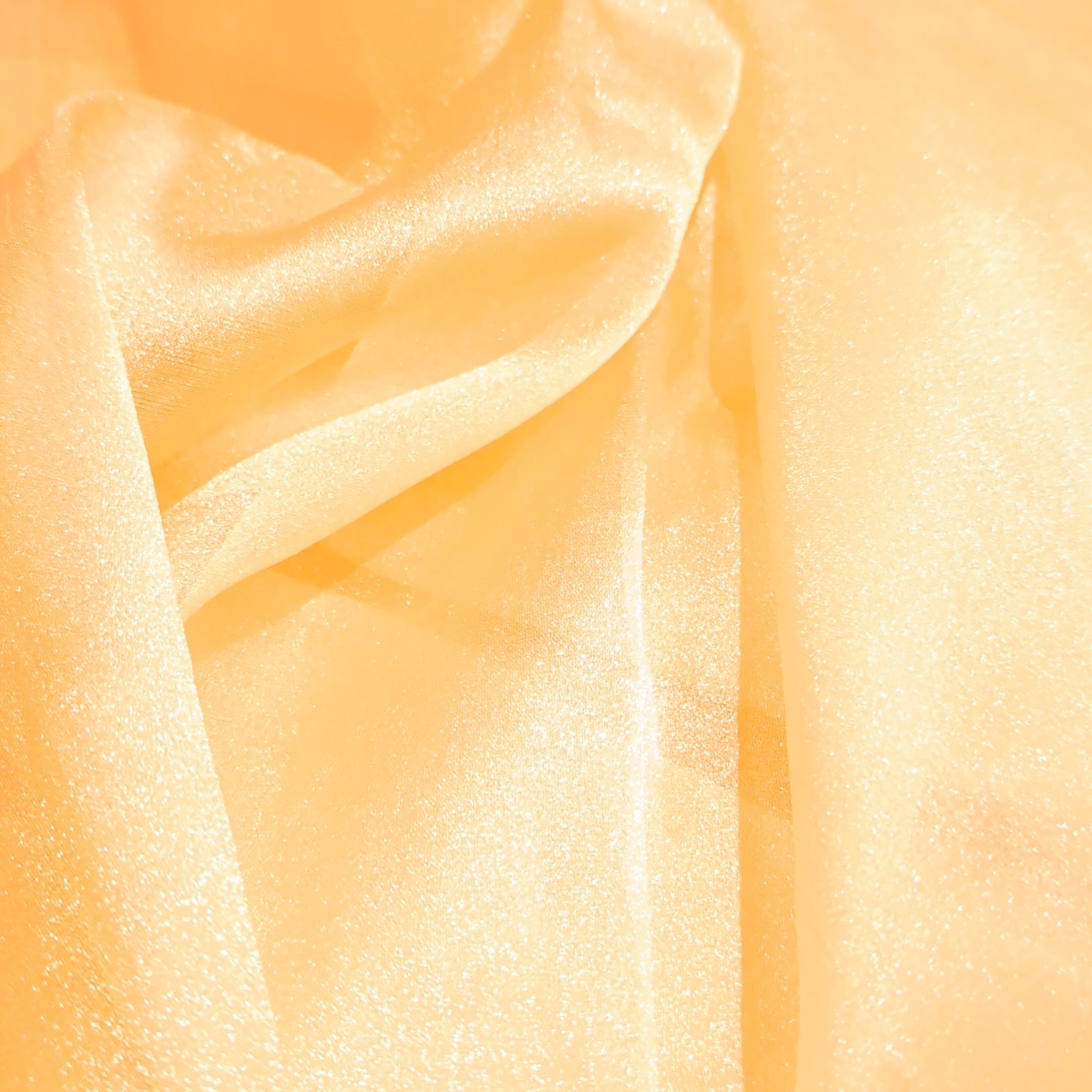 Yellow Organza Zari Fabric 1 Meter | Lightweight Sheer Designer Fabric for Saree, Dupatta, Blouse & Ethnic Wear