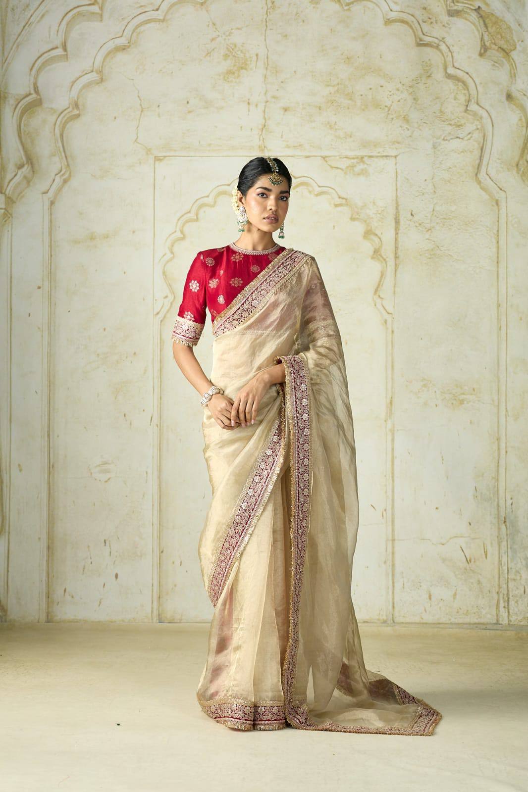 soft twill net saree with sequins cording jari dori embroidery lace border